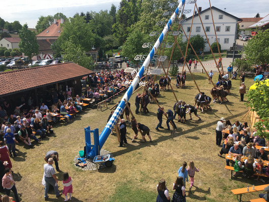 Menschen stellen gemeinsam einen Maibaum auf