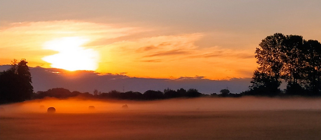 Ein weites Feld mit Nebel im orangenen Licht des Sonnenaufgangs.
