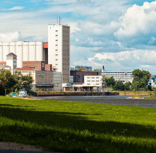 Eine grüne Wiese, ein Fluss und im Hintergrund ein Industriegebäude.