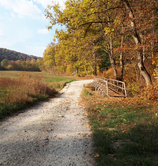 Ein Wanderweg im Herbst bei tief stehender Sonne