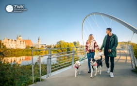 Wohnungsmarktmonitor Stadt Dessau-Roßlau