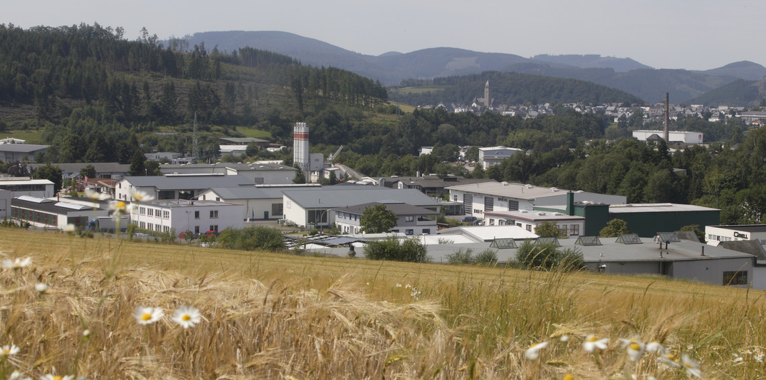 Ein Feld mit Blumen und im Hintergrund ein Industriegebiet