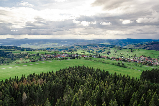 Grüne weitläufige Landschaft mit einem Dorf im Hintergrund