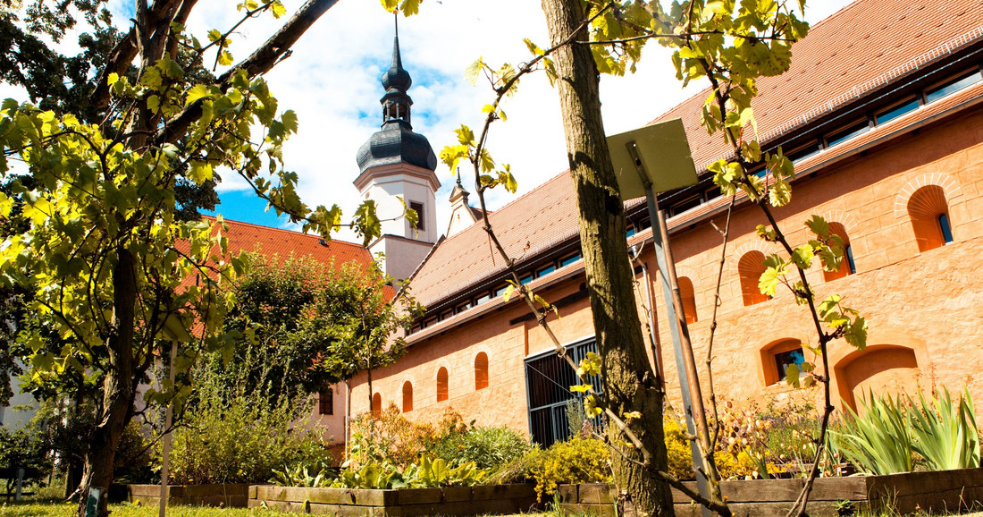 Ein Klostergebäude mit Kirchturm, Beeten und einer Weinrebe im Vordergrund.